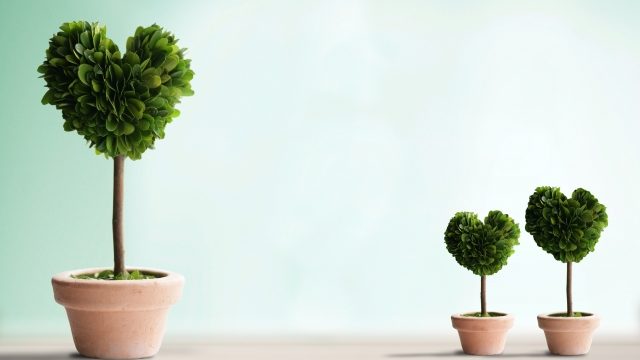 ソフトバンク光申込日の前々月1日から、申込日の2カ月後の末日まで(計5カ月間)に転居された方